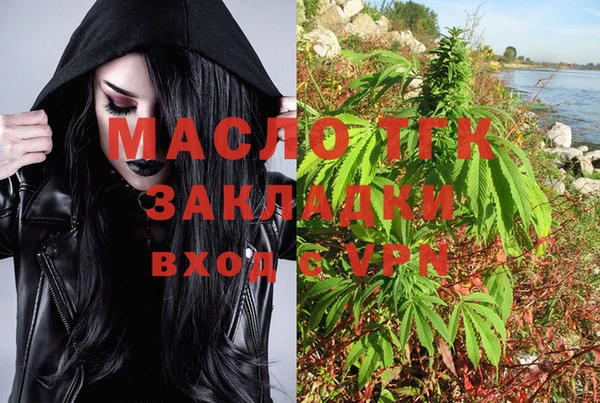 дмт Дмитровск