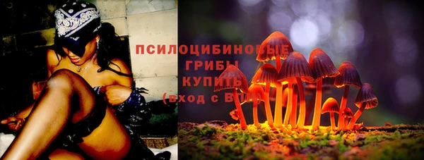 бошки Дмитров